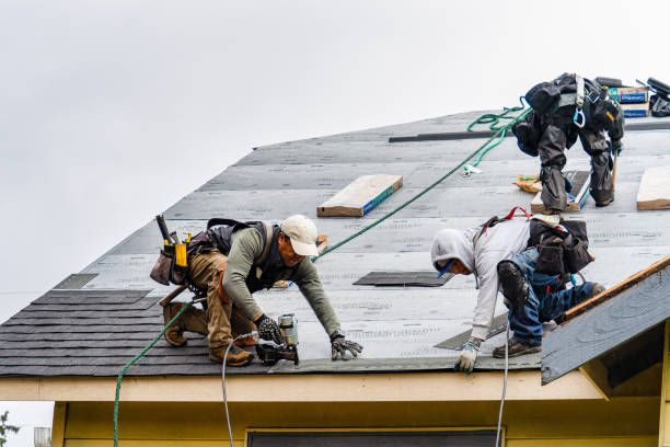 Professional Gutter Installation technician working in Molt, MT